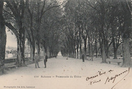 Aubonne - Promenade Du Chêne B - Aubonne