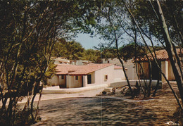 CPM 83 - Six Fours Les Plages - Le Brusc - Centre De Vacances - Groupe De Bungalows Sous La Pinède - Six-Fours-les-Plages