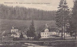 Wildemann I. Harz - Hotel Und Pension Schützenhaus Im Spiegeltal - Wildemann