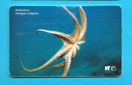 OCTOPUS VULGARIS (Croatia Rare Card 1st Serie Undersea) Poulpe Sépia Oktopus Seepolyp Tintenfisch Pulpo Hobotnica - Peces