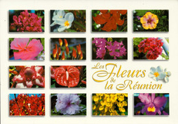 REUNION , Cpm Les Fleurs De La REUNION    (25603) - Riunione