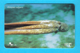 OCTOPUS VULGARIS - Croatia Old Rare Card Serie Undersea * Poulpe Sépia Oktopus Seepolyp Tintenfisch Pulpo Hobotnica - Poissons