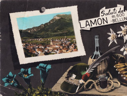 Saluti Da Lamon - Belluno - Formato Grande Viaggiata – FE390 - Belluno