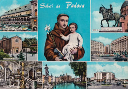 Saluti Da Padova - Formato Grande Viaggiata – FE390 - Padova (Padua)