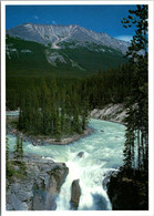 Canada Jasper National Falls Sunwapta Falls - Jasper