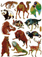 Safari Zoo Tiere Aufkleber Metallic Look / Africa Animal Sticker 13x10 Cm ST431 - Scrapbooking