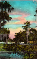 Florida Wakulla Springs Cypress Towering Over River Handcolored Albertype - Sonstige & Ohne Zuordnung