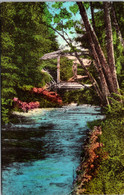 California Big Sur Pfeiffer Redwoods State Park The Big Sur River Handcolored Albertype - Big Sur