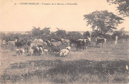 CONGO FRANCAIS  - BRAZZAVILLE - TROUPEAU DE LA MISSION - Brazzaville