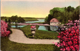 South Carolina Charleston Middleton Place Gardens View From Ruins Of Old Mansion Handcolored Albertype - Charleston