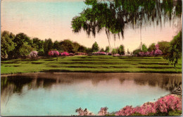 South Carolina Charleston Middleton Place Gardens Terraces Facing Riverfront 1950 Handcolored Albertype - Charleston