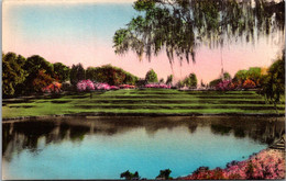 South Carolina Charleston Middleton Place Gardens Terraces Facing Riverfront Handcolored Albertype - Charleston