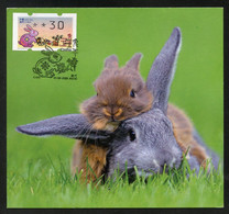 MACAU MACAO (2023) Ano Lunar Do Coelho / Lunar Year Of The Rabbit / Año Del Conejo - Nagler ATM - Carte Maximum Card - Maximumkaarten