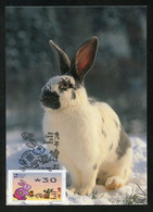 MACAU MACAO (2023) Ano Lunar Do Coelho / Lunar Year Of The Rabbit / Año Del Conejo - Nagler ATM - Carte Maximum Card - Tarjetas – Máxima