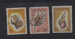 LOT 689 - COMORES N° 22 à 24 - COQUILLAGES  Cote  33,50 € - Used Stamps