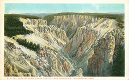 CPA Yellowstone Park-Looking Down Grand Canyon-53    L2050 - Andere & Zonder Classificatie