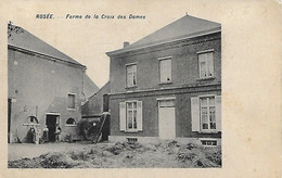 BELGIQUE -  ROSEE -  FERME DE LACROIX DES DAMES - Florennes