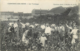 CARRIERES SUR SEINE - Les Vendanges. - Carrières-sur-Seine