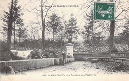 FRANCE - 54 - AGINCOURT - La Fontaine Des Pestiférés - Carte Postale Ancienne - Autres & Non Classés