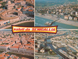 Saluti Da Senigallia - 163 - Formato Grande Viaggiata – FE390 - Senigallia