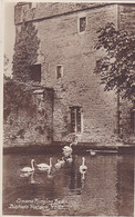 CPA WELLS- BISHOP'S PALACE, SWANS - Wells