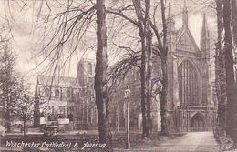 CPA WINCHESTER- THE CATHEDRAL - Winchester