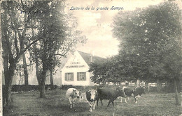 Drogenbos - Laiterie De La Gde Lampe - Drogenbos