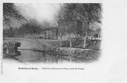 11)     SALLELES  D'  AUDE  - Bief Du Gailhousty Et Pont Route De Cuxac - Salleles D'Aude