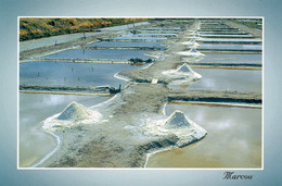 CPM Marais Salants - Poitou-Charentes