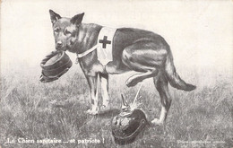 MILITARIAT - Le Chien Sanitaire Et Patriote - Pisse Sur Casque à Pointe  - Carte Postale Ancienne - Autres & Non Classés