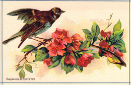 CHROMO  - COGNASSIER Et FAUVETTE - Fleur - Oiseau -  - Carte Postale Ancienne - Autres & Non Classés