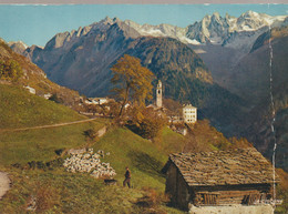 C.P. -  PHOTO - LA MONTAGNE EST GRANDE - MON HUMBLE CABANE - MON TROUPEAU - LE SILENCE ET LA PAIX - LE BERGER - PF 300 - Philosophie & Pensées