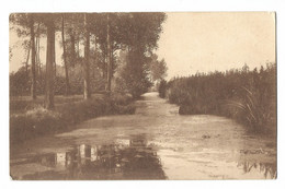 Lac D' Overmeire    -    Canal Du Bout Du Lac. - Berlare