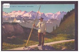 ALPHORNBLÄSER - JOUEUR DE COR DES ALPES - TB - Horn