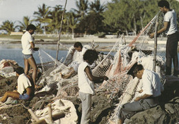 Ile Maurice  -  Mauritius  Scene De Pecheurs A Grand-Gaube  Fishermen's Return At Grand-Gaube - Maurice