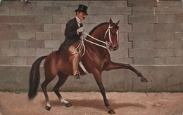 CHEVAUX - Dressage - Homme Avec Chapeau Haut De Forme Sur Cheval Qui Leve La Patte - Carte Postale Ancienne - - Chevaux