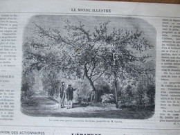 GRAVURE  1869  COMMUNE DES LILAS    Le Rosier  Sans Pareil  Bois De Romainville - Les Lilas