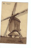 Tessenderlo   Tessenderloo  Baalmolen   1939 BELGISCHE LEGERPOSTERIJEN - Tessenderlo