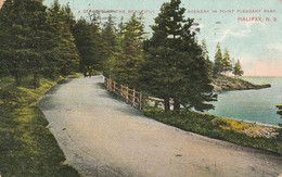 A Glimpse Of The Beautiful Scenery In Point Pleasant Park, Halifax, Nova Scotia - Halifax