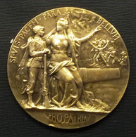 Médaille France - Prix Du Ministre De La Guerre - 1911 - Professionnels / De Société