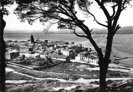 St Tropez * Vue Générale Sur La Commune - Saint-Tropez