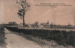 BELGIQUE - Folx Les Caves - Une Partie Du Village Celebre Par Ses Souterrains Romains - Carte Postale Ancienne - - Andere & Zonder Classificatie