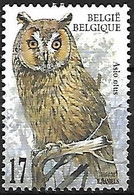 Belgium - MNH ** 1999 :  Long-eared Owl  - Asio Otus - Hiboux & Chouettes