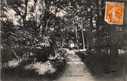 édit J L Orléans   UN SOUS BOIS - Monuments Aux Morts