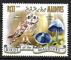 Maldives - MNH ** 2014 :  Short-eared Owl -  Asio Flammeus  + Mushrooms (5 Stamps) - Hiboux & Chouettes