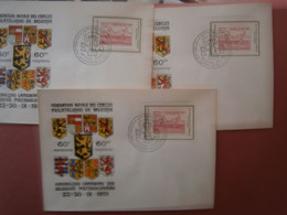 TIMBRES BELGIQUE - Private & Local Mails [PR & LO]