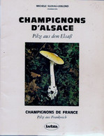 Livre - Champignons D'Alsace - Livret De 32 Pages + 32 Fiches (présentant 64 Champignons) - Alsace