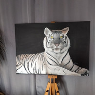 TABLEAU TIGRE BLANC Peinture Acrylique Sur Toile Signé N.Petry - Acryliques