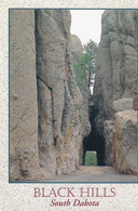 Black Hills South Dakota- USA - Postcard - Stamped 1995 - Andere & Zonder Classificatie