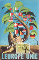 Luxembourg - Luxemburg CM 1962 Y&T N°612 - Michel N°MK657 - 2,50f EUROPA - Maximum Cards